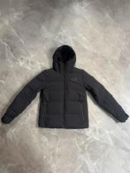 The North Face winterjas, Kleding | Heren, Jassen | Winter, Zwart, Ophalen of Verzenden, Zo goed als nieuw, The North Face
