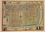 Grote antieke landkaart plattegrond van Delft POSTERFORMAAT!, Ophalen of Verzenden, 1800 tot 2000, Wereld, Landkaart