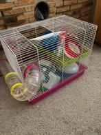 zgan hamster kooi met heel veel toebehoren, Dieren en Toebehoren, Minder dan 60 cm, Kooi, Ophalen of Verzenden, Zo goed als nieuw