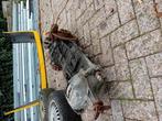 Alfa romeo 75 3.0 v6, Ophalen of Verzenden, Alfa Romeo