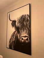 Loods 5 Schotse Hooglander Schilderij Canvas, Huis en Inrichting, Ophalen, Oorspronkelijke maker, Zo goed als nieuw, Schilderij