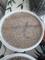 Koi karper voer - Kleine korrels