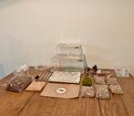 Complete mierenhouderij set – modulair formicarium, Mieren