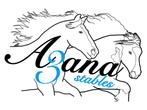 A3ana Stables Amstelveen Zuid, Dieren en Toebehoren, Stalling en Weidegang, Weidegang, 1 paard of pony