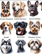 Honden opvang/pension, Diensten en Vakmensen, Dieren | Honden | Verzorging, Oppas en Les