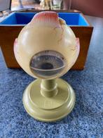 medisch anatomisch model van een oog. merk somso, Ophalen of Verzenden