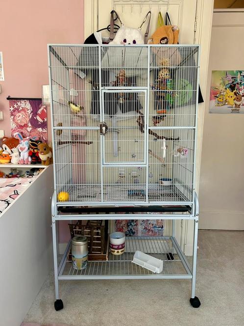 Compleet nieuwe vogel kooi incl. speelgoed en voer, Dieren en Toebehoren, Vogels | Hokken en Kooien, Nieuw, Vogelkooi, Metaal