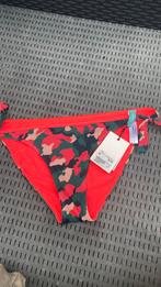 Primadonna slim bikini broekje maat 38, Kleding | Dames, Badmode en Zwemkleding, Ophalen of Verzenden, Nieuw, Bikini