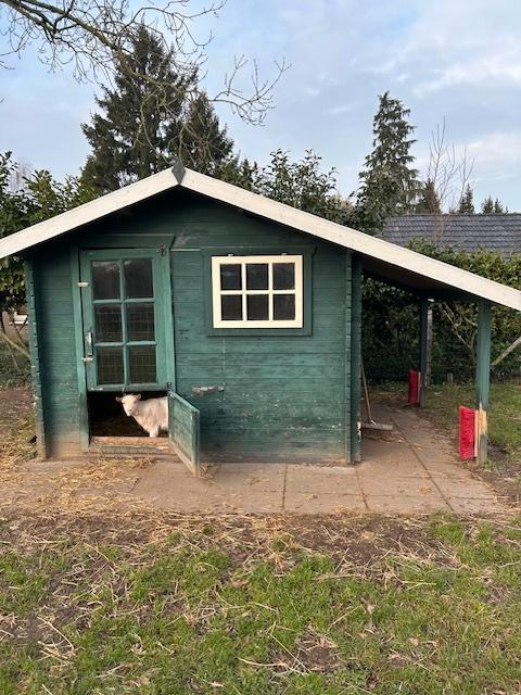 Gratis Tuinhuis/Geitenhok, Tuin en Terras, Tuinhuizen, Gebruikt, Blokhut, Hout, 250 tot 500 cm, Minder dan 200 cm, 1 raam, Met overkapping