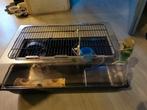 Kooi voor hamster, muis of ander klein knaagdier, Minder dan 60 cm, Kooi, Minder dan 75 cm, Ophalen of Verzenden