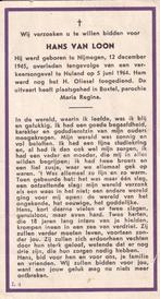 Loon Hans 1945 Nijmegen 1964 Nuland ongeval, Ophalen of Verzenden, Bidprentje