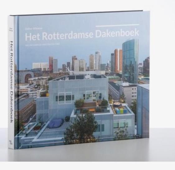 Esther Wienese - Het Rotterdamse dakenboek, Boeken, Kunst en Cultuur | Architectuur, Zo goed als nieuw, Architecten, Verzenden
