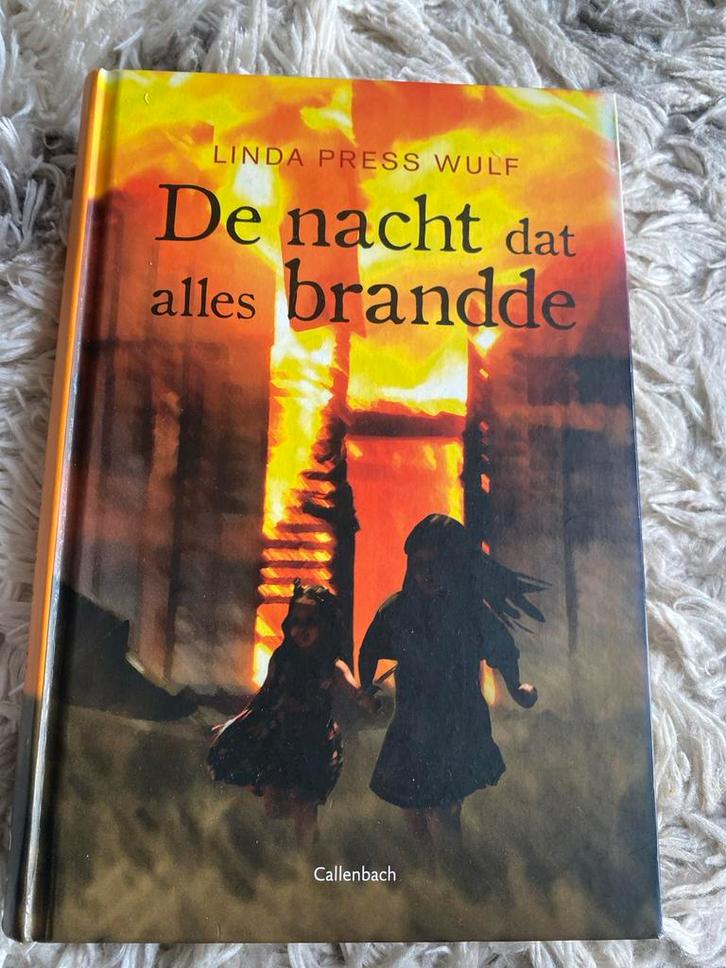 De nacht dat alles brandde - Linda Press Wulf, Boeken, Romans, Gelezen, Nederland, Ophalen of Verzenden