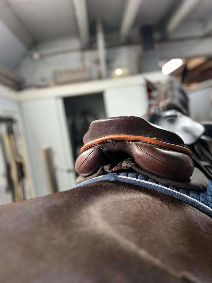 Passier Blu Motion springzadel – 17,5 inch (2020), Dieren en Toebehoren, Paarden en Pony's | Zadels, Zo goed als nieuw, Springen