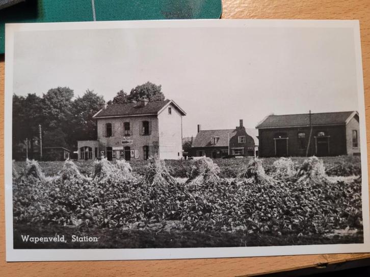 Ansichtkaart Wapenveld - Station, Verzamelen, Ansichtkaarten | Buitenland, Voor 1920, Ophalen of Verzenden