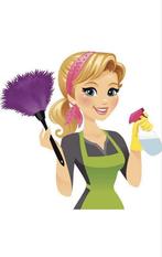 Schoonmaakster aangeboden, Schoonmaken