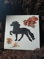 Schilderij met paard (IJslander), Ophalen of Verzenden, Nieuw