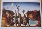 Salvador Dali - Zwanen die olifanten reflecteren - 1937, Verzamelen, Ansichtkaarten | Themakaarten, Overige thema's, Ongelopen