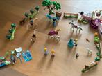 Playmobil meiden set met paarden en eenhoorn, Ophalen of Verzenden, Zo goed als nieuw