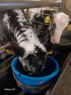 Agrarische dienstverlening met veel ervaring aangeboden, Ophalen of Verzenden, Gebruikt, Tot 80 Pk, John Deere