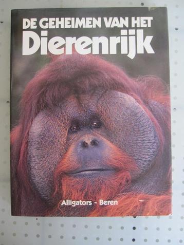 De geheimen vh dierenrijk Alligators-Beren beschikbaar voor biedingen