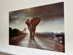 Glazen Schilderij - Olifant - 120x80cm, Antiek en Kunst, Kunst | Schilderijen | Klassiek, Ophalen of Verzenden