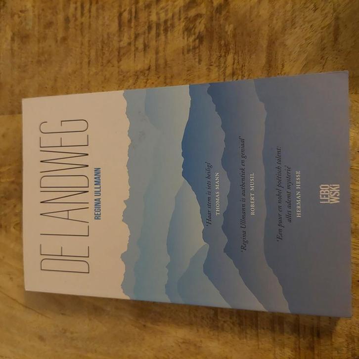 Regina Ullmann - De landweg, Boeken, Literatuur, Zo goed als nieuw, Ophalen of Verzenden