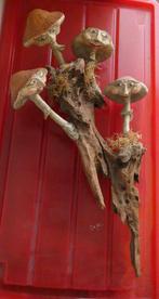 paddenstoelen, Boeken, Natuur, Ophalen, Zo goed als nieuw, Overige onderwerpen