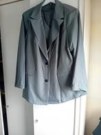 Nieuw grijs 3 delig kostuum maat 3xl, Kleding | Dames, Kostuum of Pak, Maat 46/48 (XL) of groter, Nieuw, Ophalen of Verzenden