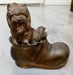 yorkshire terrier masief messing hond in shoes, Ophalen of Verzenden