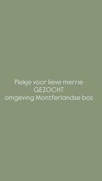 Gezocht stalling en weidegang Montferland beek zeddam kilder, Dieren en Toebehoren, Stalling en Weidegang, Weidegang