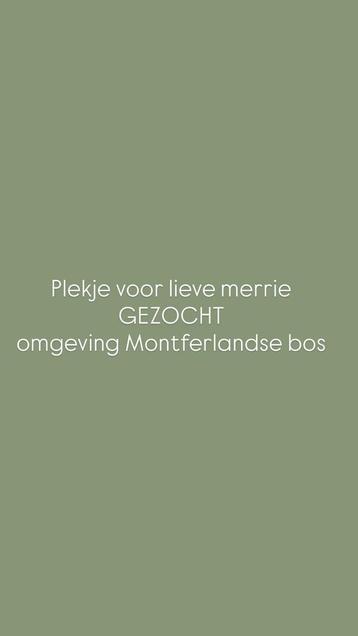 Gezocht stalling en weidegang Montferland beek zeddam kilder beschikbaar voor biedingen