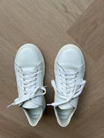 Axel Arigato witte schoen, Kleding | Heren, Schoenen, Axel Arigato, Wit, Ophalen of Verzenden, Gedragen