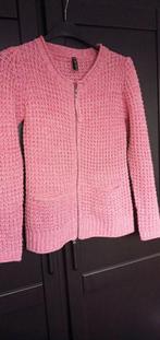 Leuk roze vest, Kleding | Dames, Ophalen of Verzenden, Zo goed als nieuw, Roze