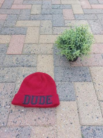 Muts Dude rood   beschikbaar voor biedingen