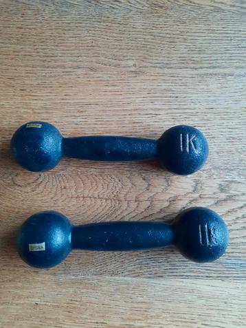 Allright Dumbels - Gietijzer - 2 x 1 kg beschikbaar voor biedingen