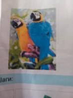 Diamond Painting Papegaaien - Nieuw, Ophalen of Verzenden, Nieuw, Knutselwerk