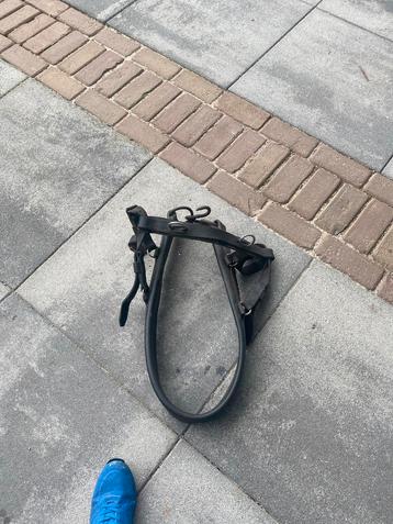 Te koop decoratieve borsttuig!! beschikbaar voor biedingen