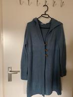 Hema vest, Ophalen of Verzenden, Zo goed als nieuw, Maat 38/40 (M), Blauw