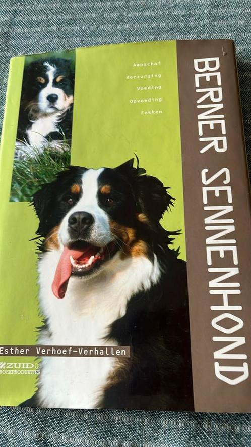E. Verhoef-Verhallen - Berner Sennenhond, Boeken, Dieren en Huisdieren, Zo goed als nieuw, Honden, Verzenden