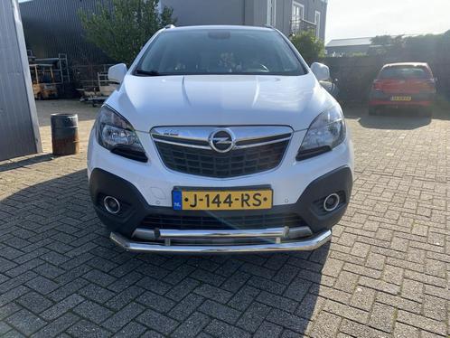 Opel Mokka Frontbar Citybar RVS, Auto diversen, Tuning en Styling, Ophalen