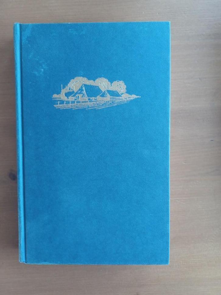 Ver is de horizon, Boeken, Romans, Gelezen, Nederland, Ophalen of Verzenden