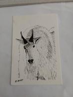 BERGGEIT.    MOIESE, MONTANA, Ophalen of Verzenden, Sterren en Beroemdheden