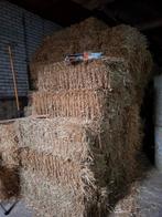 Te koop stro pakjes, Ophalen, Vee