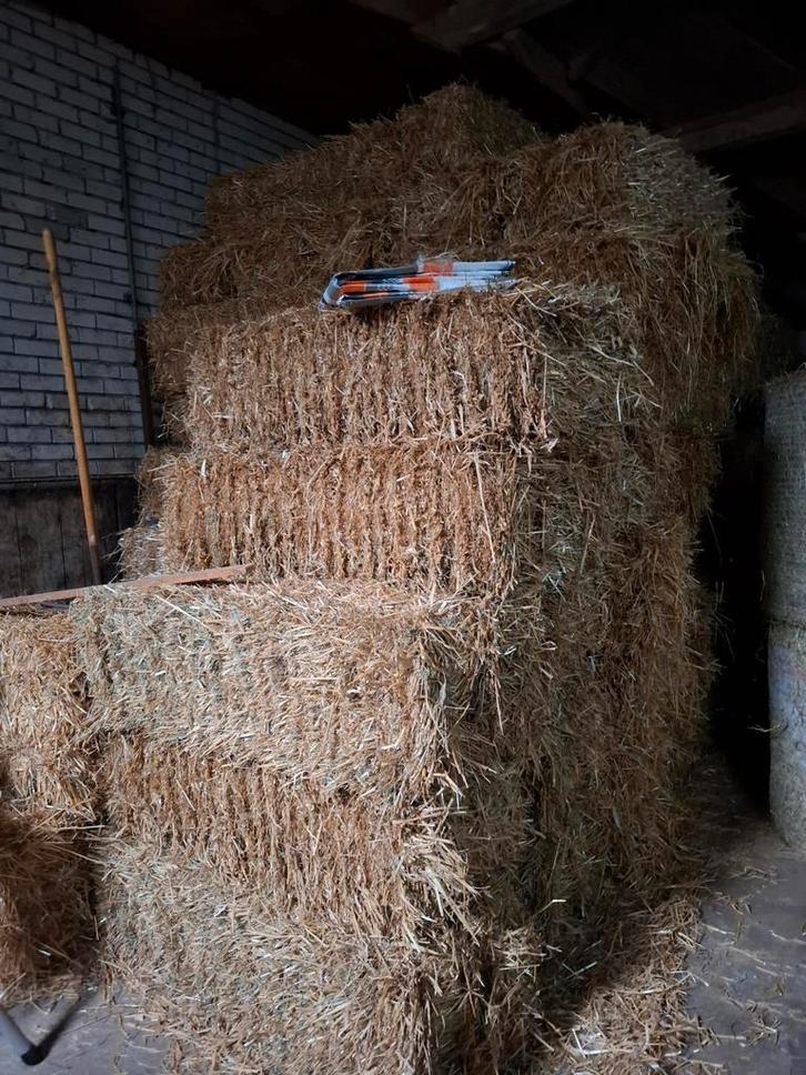 Te koop stro pakjes, Dieren en Toebehoren, Dierenvoeding, Vee, Ophalen