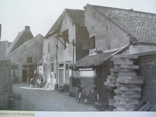 Historische boerderijen in Elburg., Boeken, Geschiedenis | Stad en Regio, Zo goed als nieuw, 20e eeuw of later, Ophalen of Verzenden