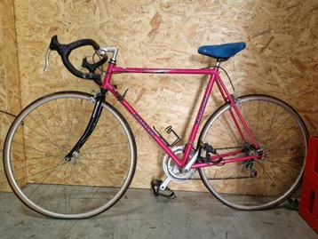 Batavus Champion Racing Line | vintage racefiets beschikbaar voor biedingen