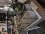Komplete vogel kooi, Dieren en Toebehoren, Vogels | Hokken en Kooien, Ophalen, Zo goed als nieuw, Metaal, Vogelkooi