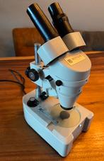Euromex binoculaire microscoop, Ophalen, Zo goed als nieuw