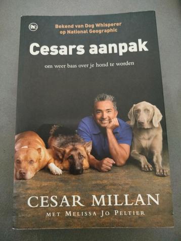Cesars aanpak beschikbaar voor biedingen